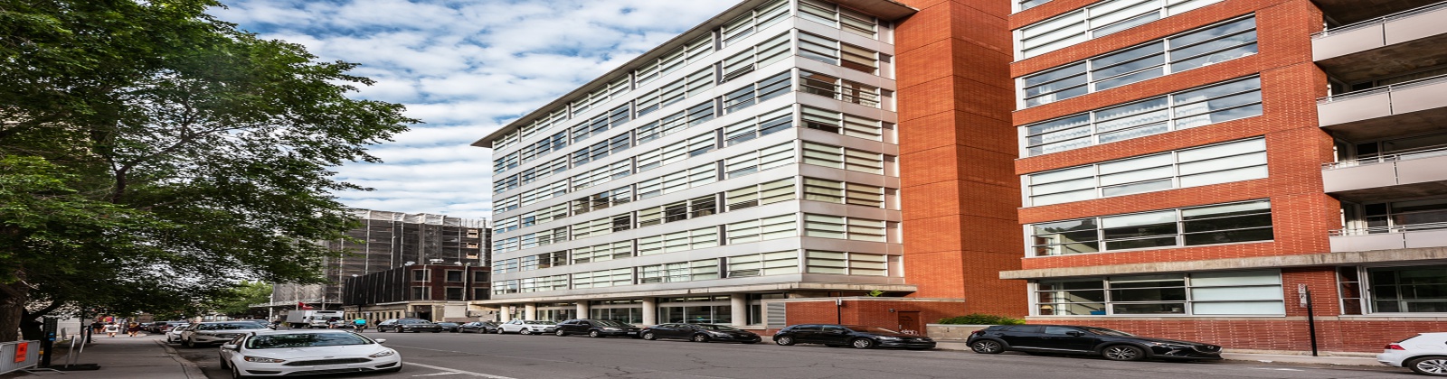1 Bedroom Bedrooms, 4 Rooms Rooms,1 BathroomBathrooms,Apartment,À vendre,1125